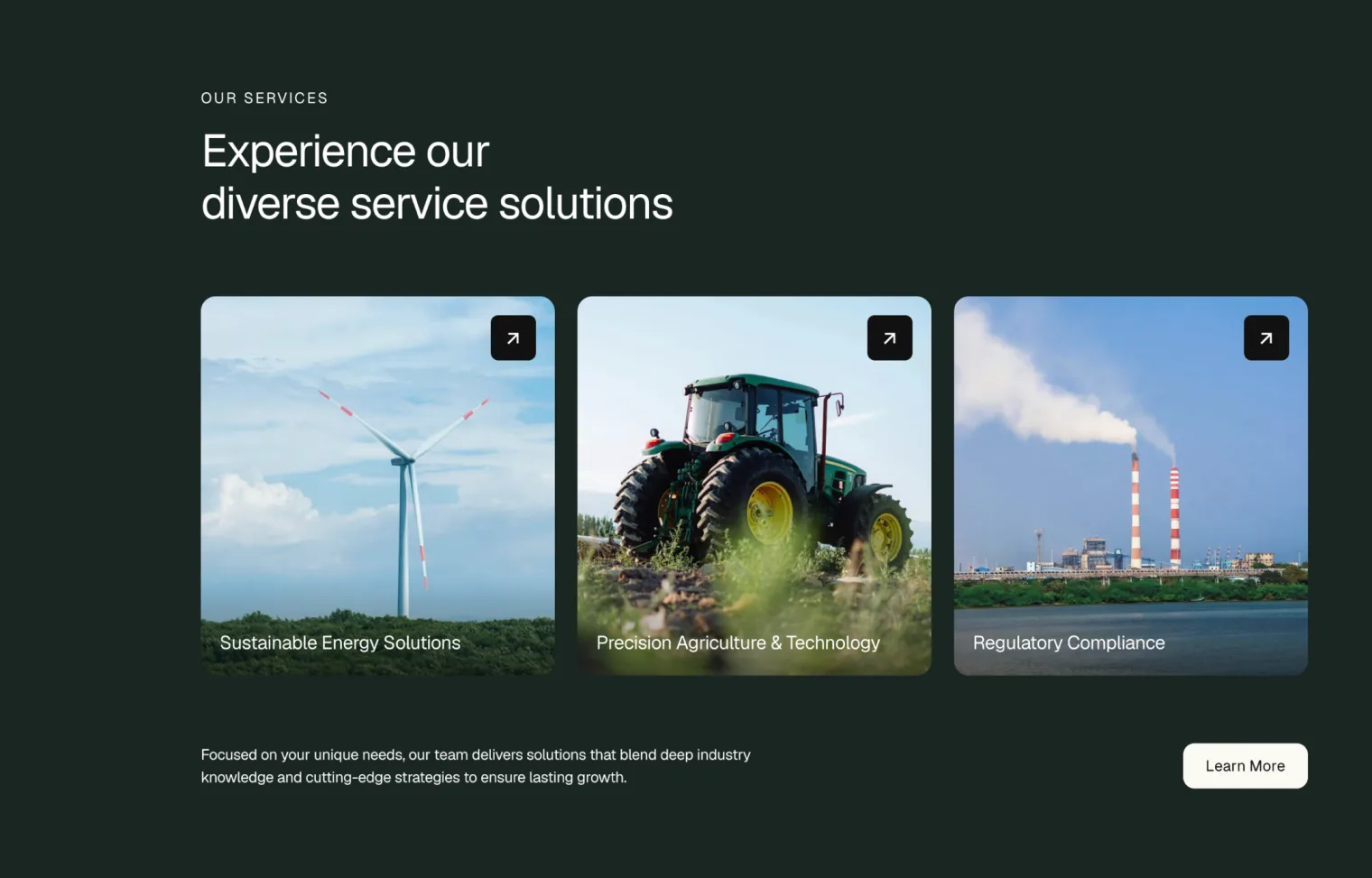 Secção de serviços de um website, com três cartões ilustrados sobre fundo verde escuro